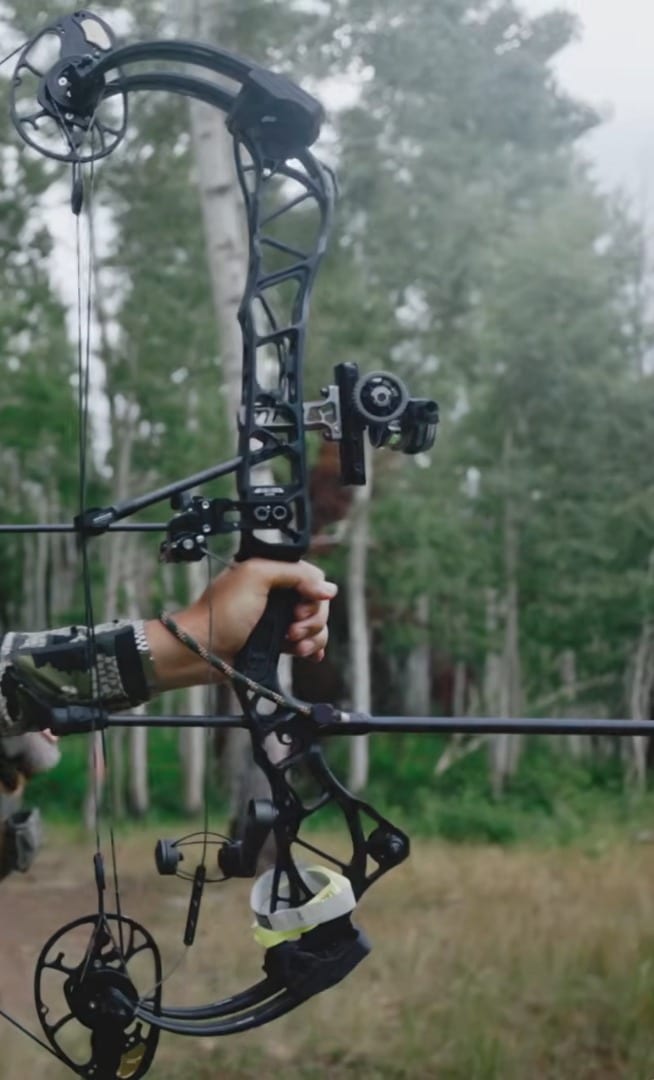 Brandon McDonald’s Mathews TITLE